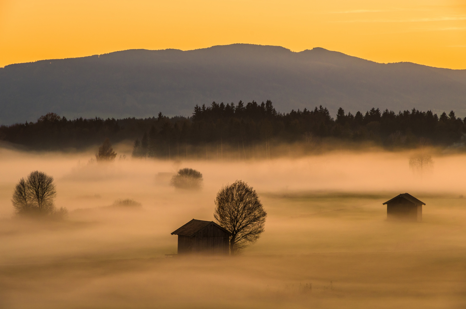 Nebelmeer