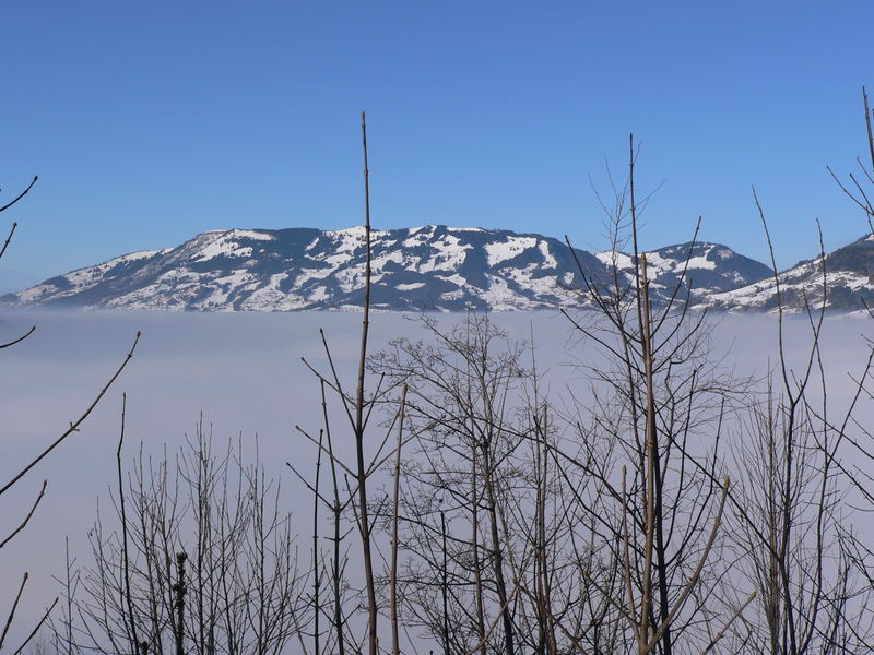 Nebelmeer von Anita Theiler