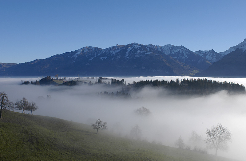 >> Nebelmeer 