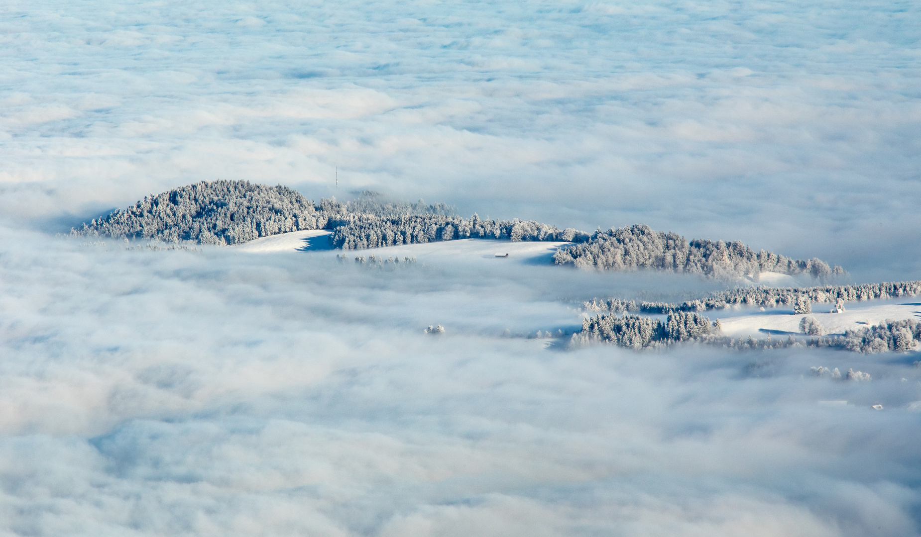 Nebelmeer (2)