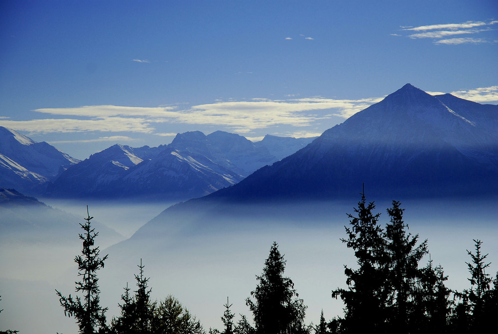 Nebelmeer