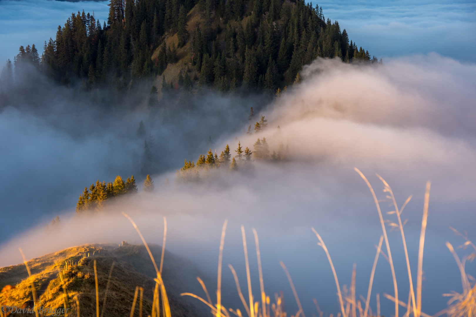 Nebelmeer