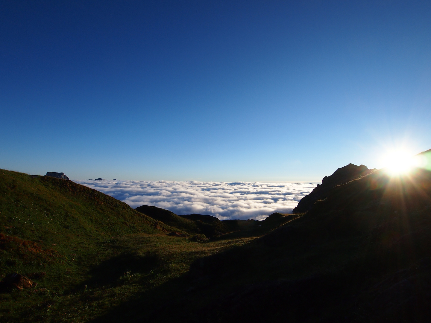 Nebelmeer