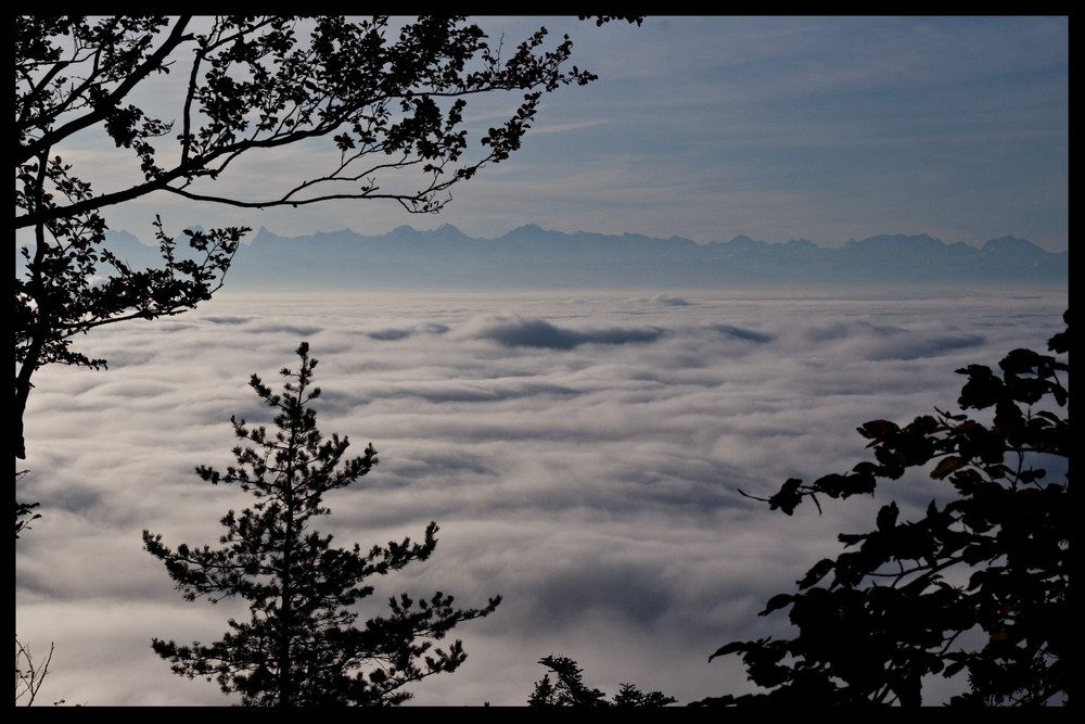 Nebelmeer