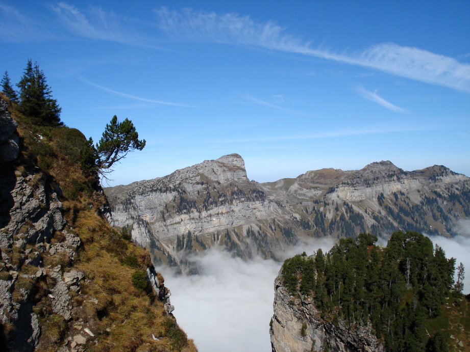 Nebelmeer