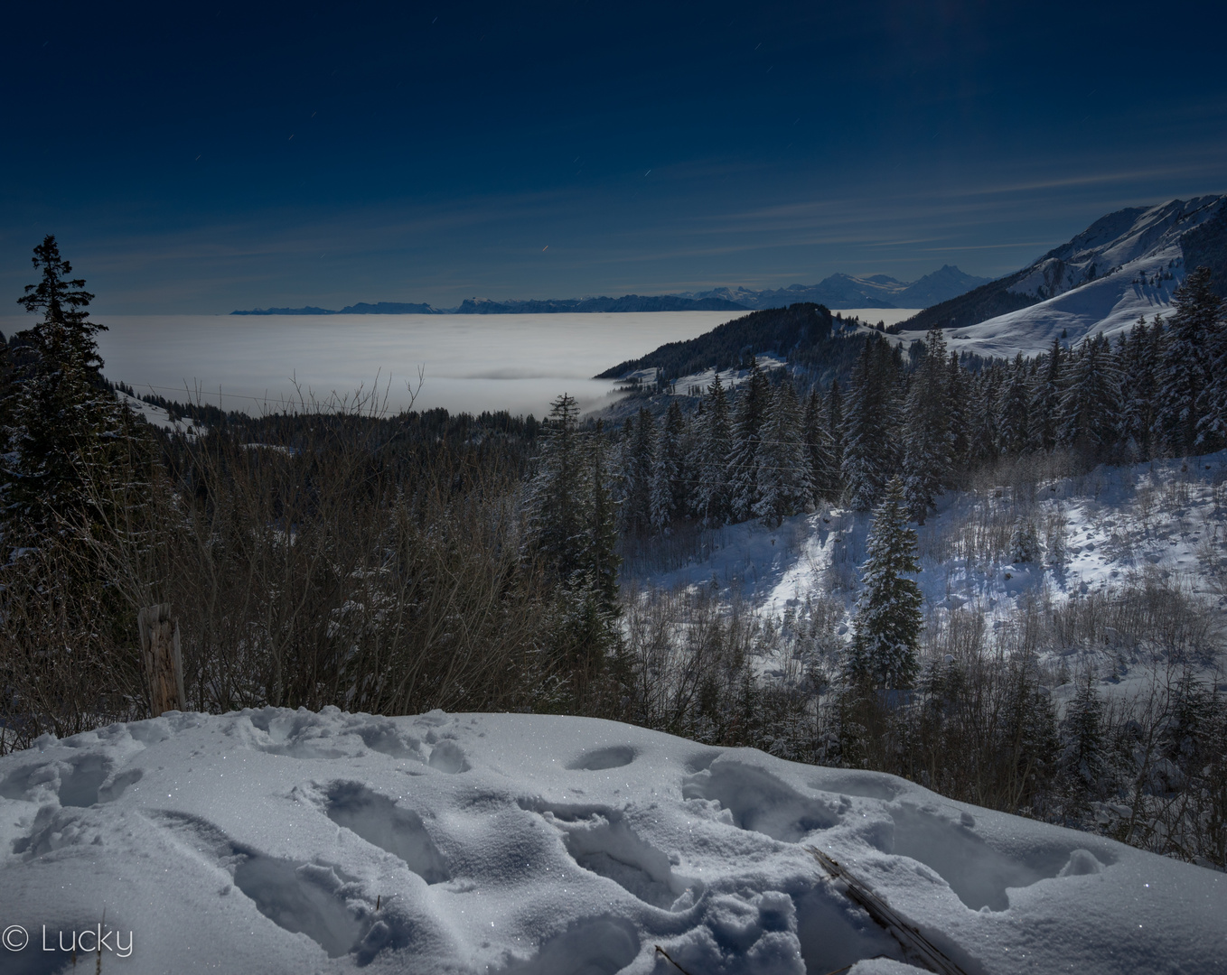 Nebelmeer