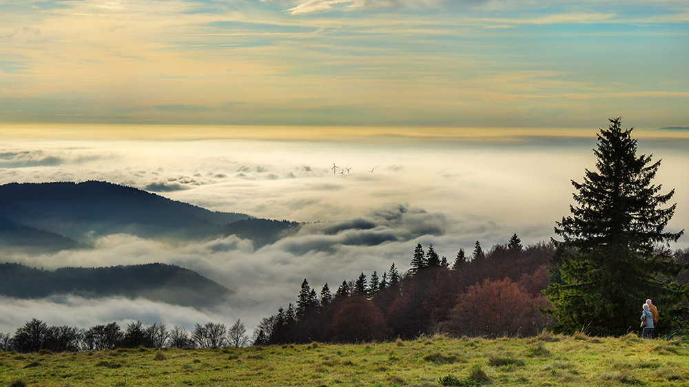 Nebelmeer