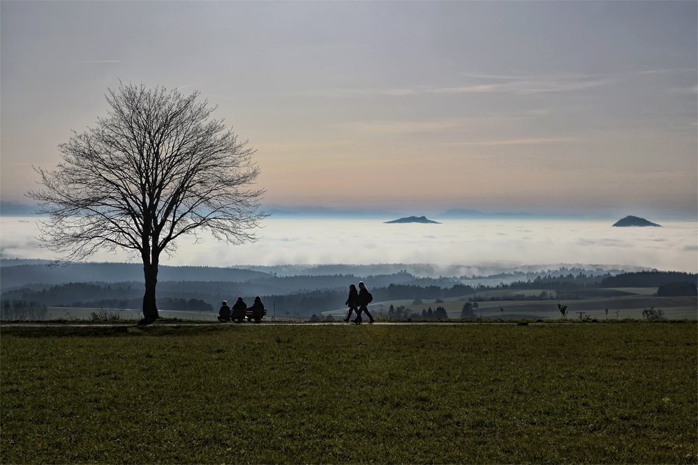 Nebel.Meer