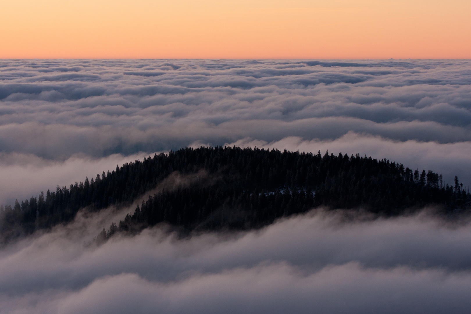 Nebelmeer