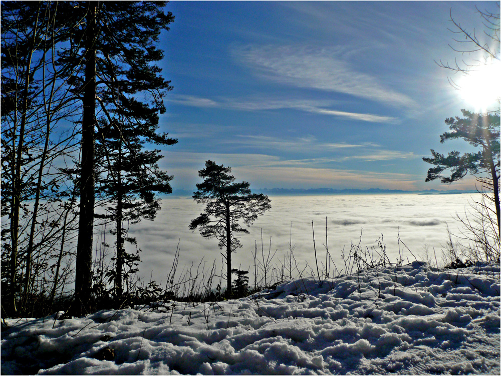 Nebelmeer