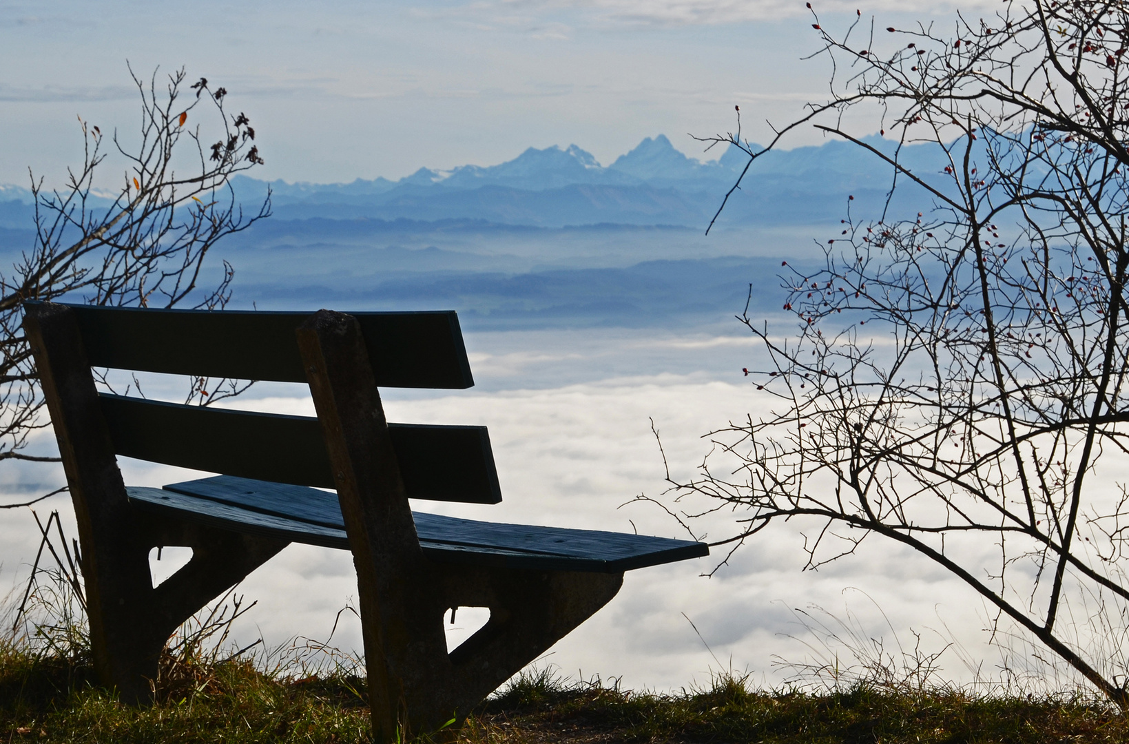 Nebelmeer