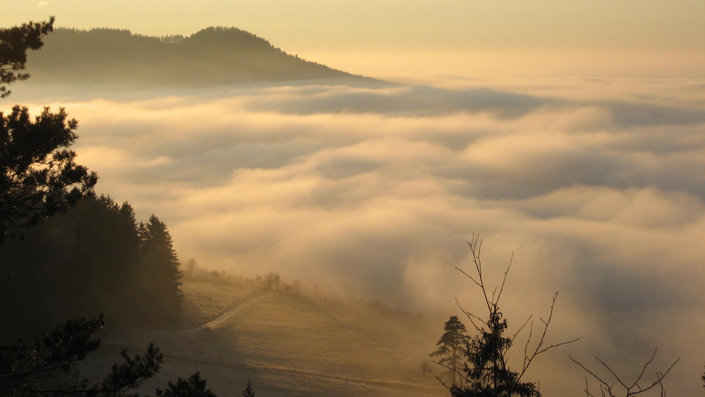 Nebelmeer