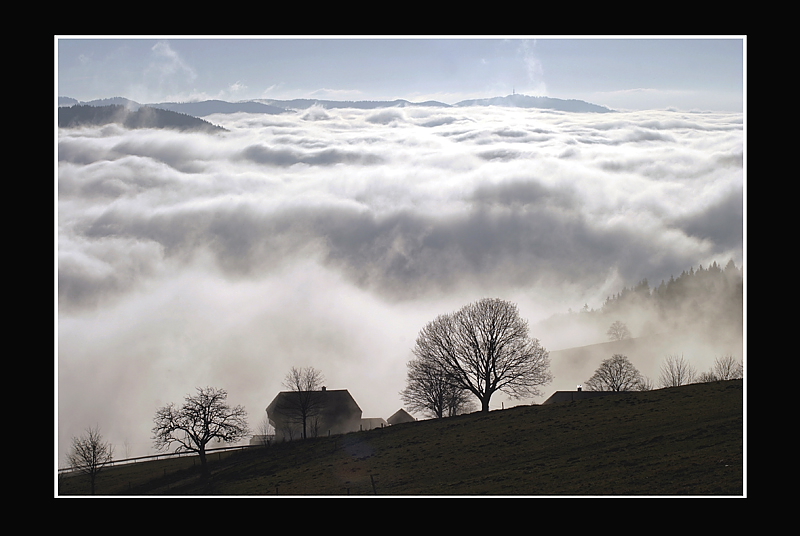 Nebelmeer am Schauinsland