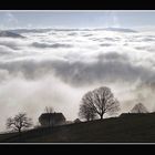 Nebelmeer am Schauinsland