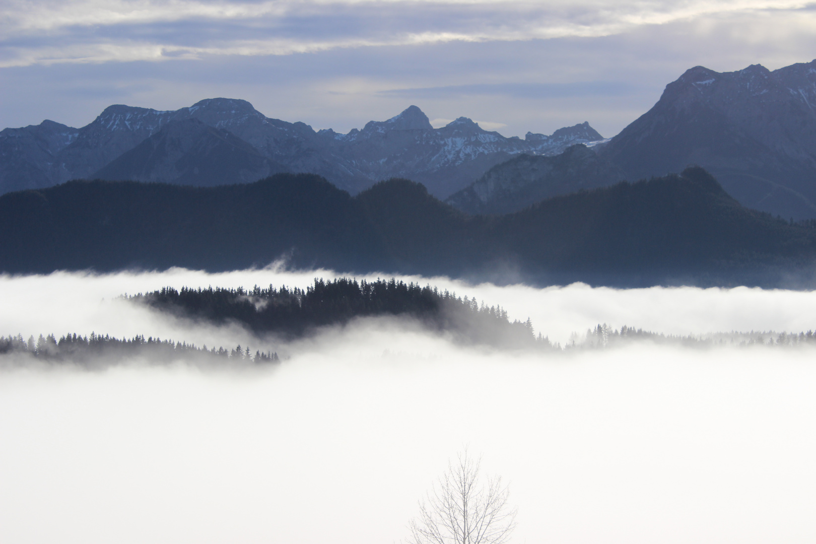 Nebelmeer am Schloßberg