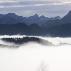 Nebelmeer am Schloßberg