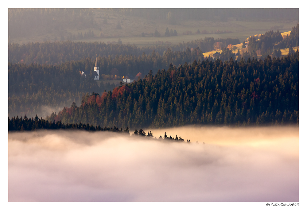 Nebelmeer am Schluchsee