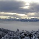 Nebelmeer am Tegernsee im Dezember