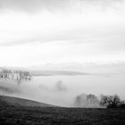 Nebelmeer auf dem Eichberg