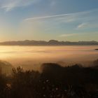 Nebelmeer bei Sonnenaufgang