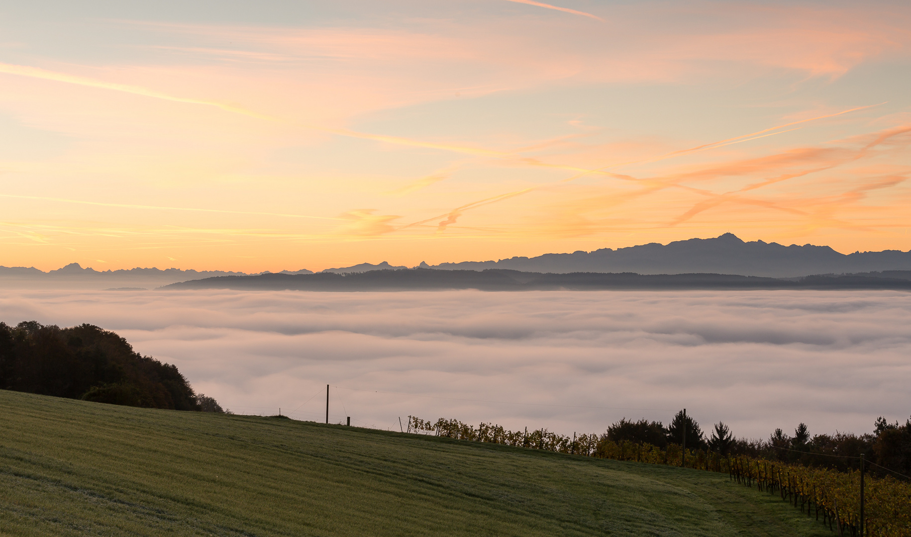 Nebelmeer bei Sonnenaufgang II