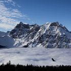 Nebelmeer, Berge & Vogel