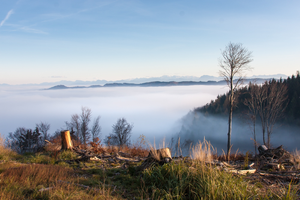 Nebelmeer