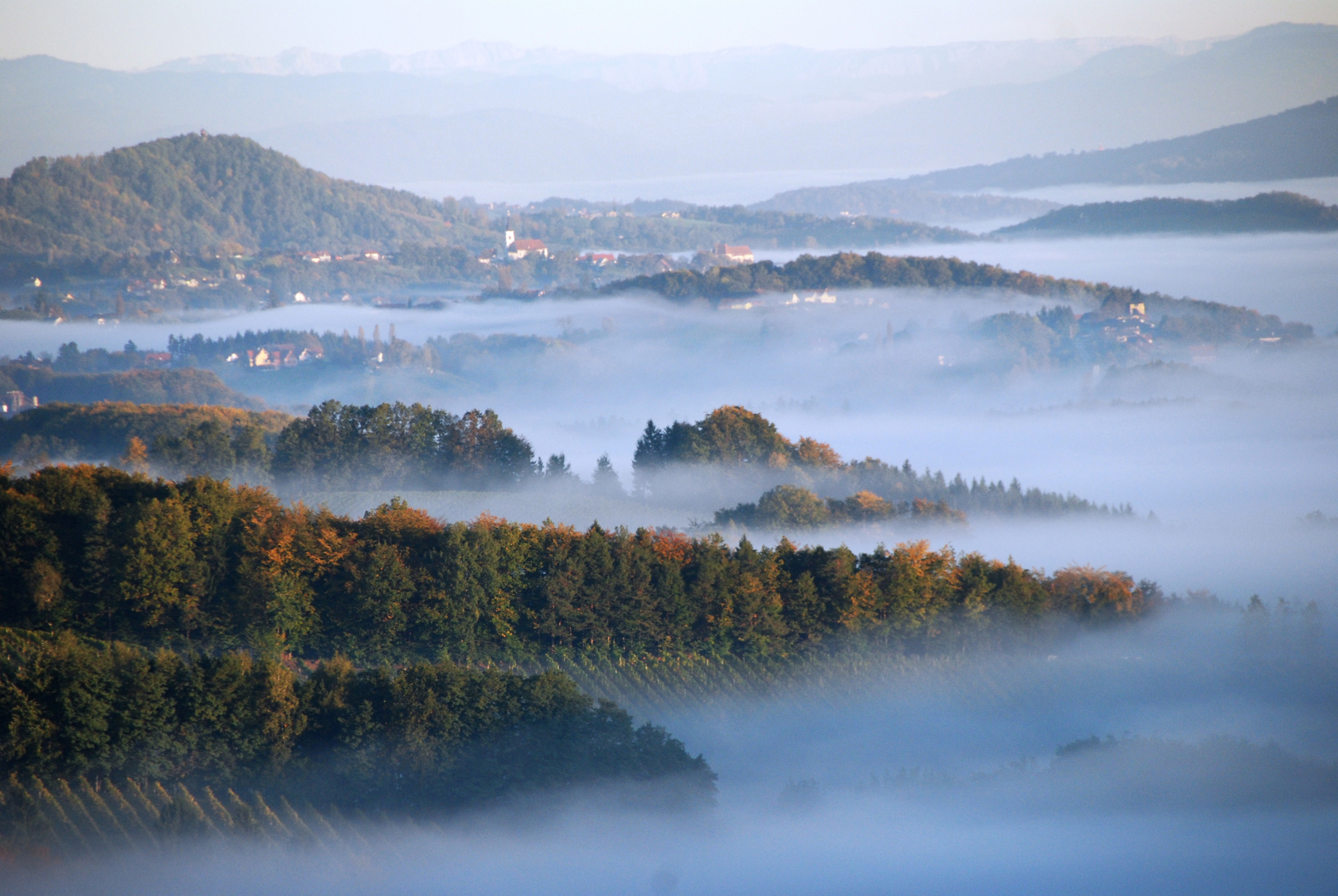 Nebelmeer