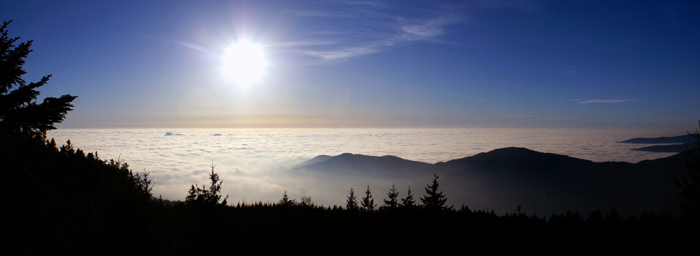 Nebelmeer