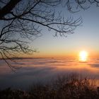 Nebelmeer Dreifürstenstein mit Blick auf Zollerburg 2