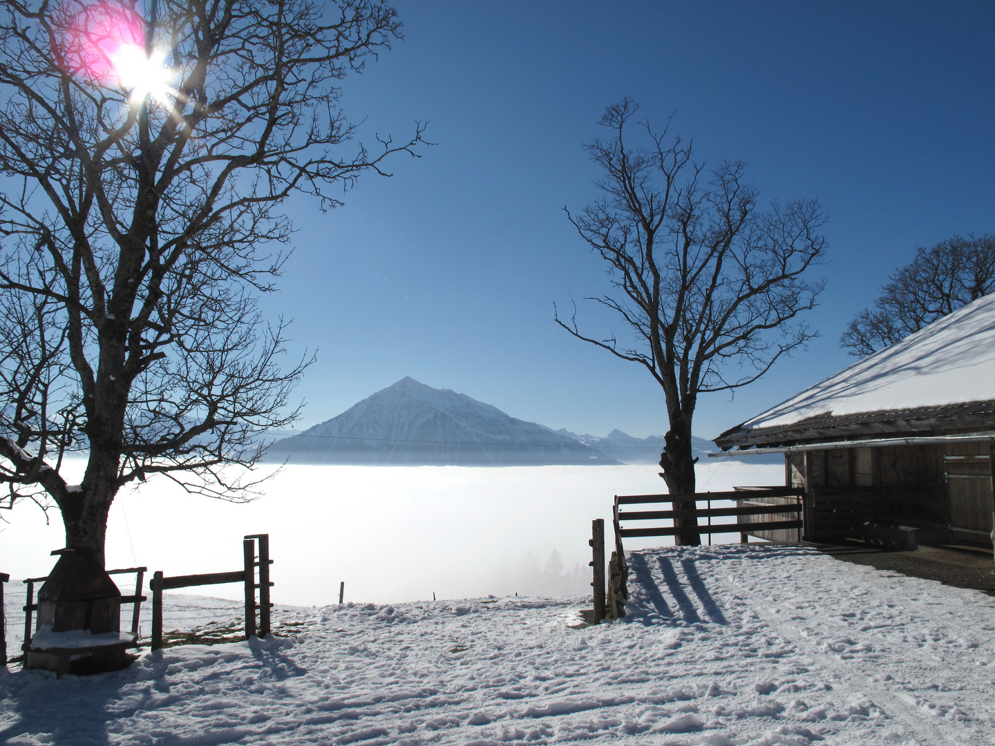 Nebelmeer