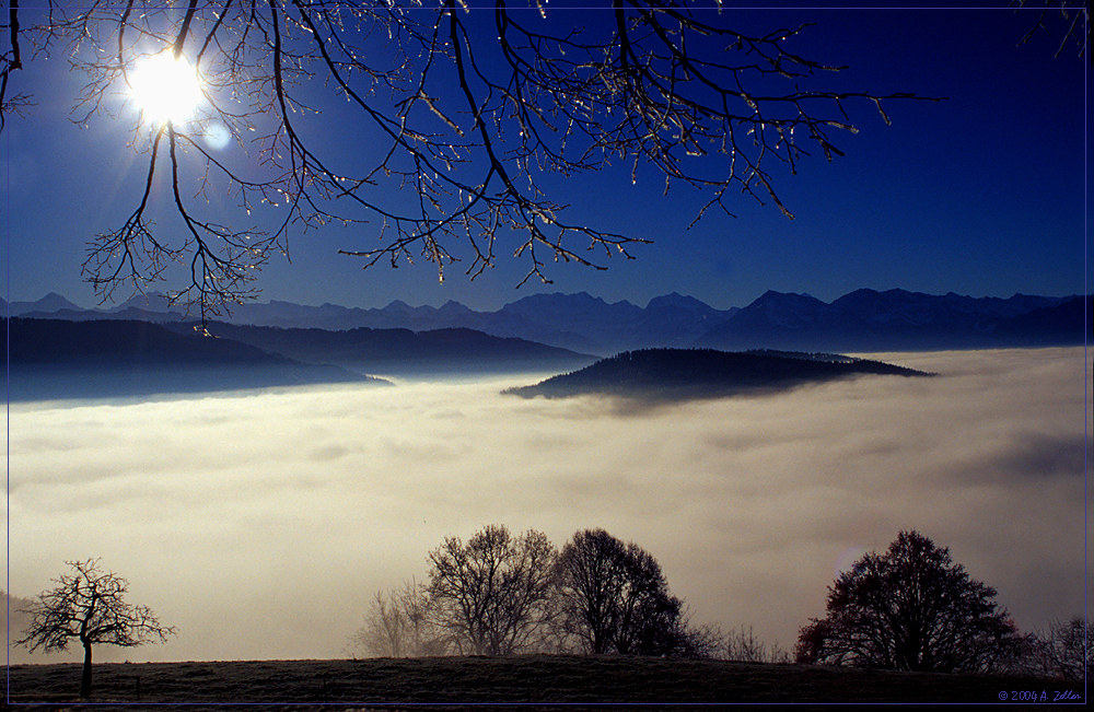 Nebelmeer