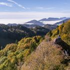 Nebelmeer im Aaretal