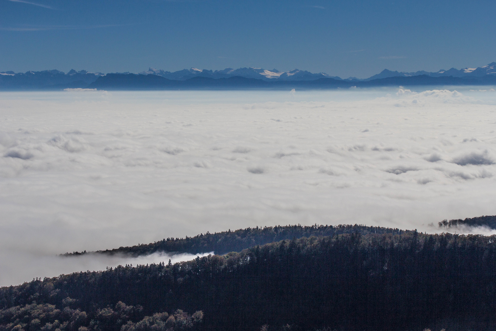 Nebelmeer im Aaretal