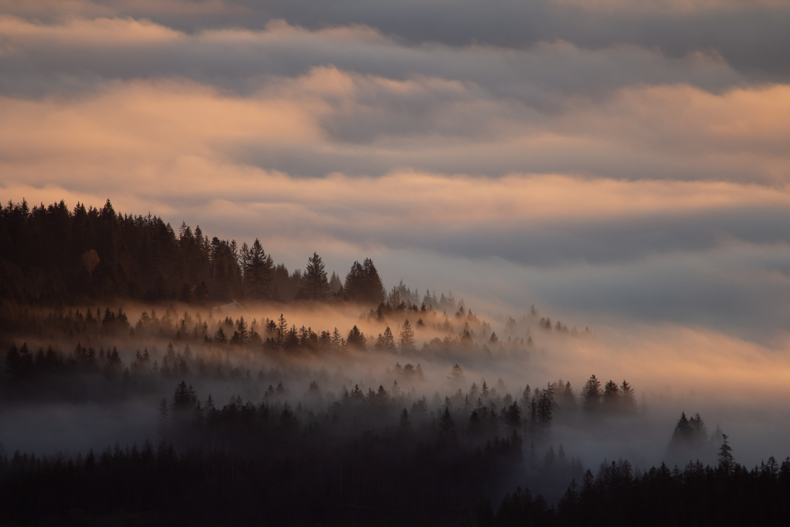 Nebelmeer im ersten Sonnenlicht