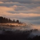 Nebelmeer im ersten Sonnenlicht
