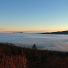 Nebelmeer im Fichtelgebirge