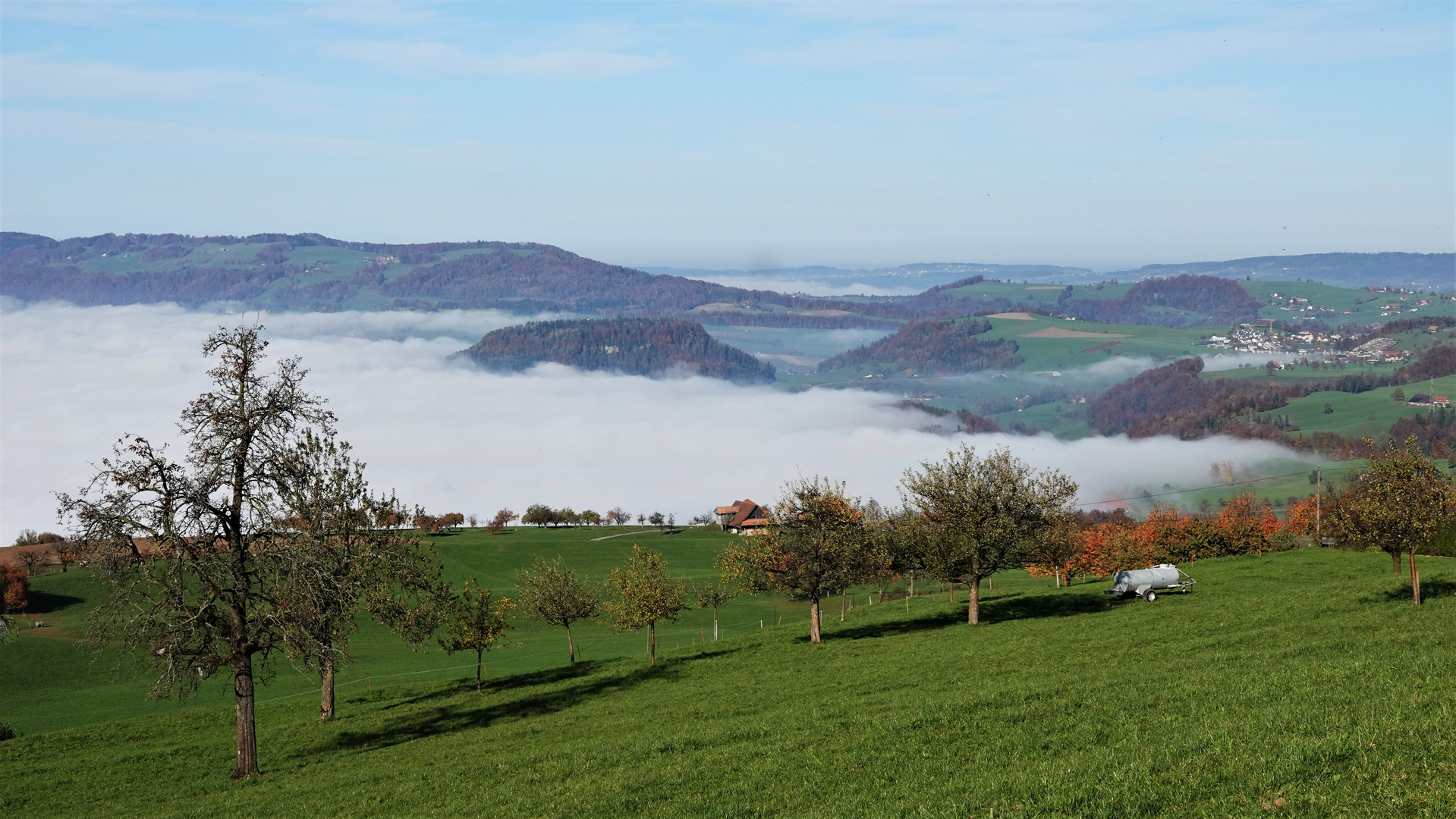 Nebelmeer im Herbst