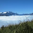 Nebelmeer im Kärpfgebiet Kt Glarus