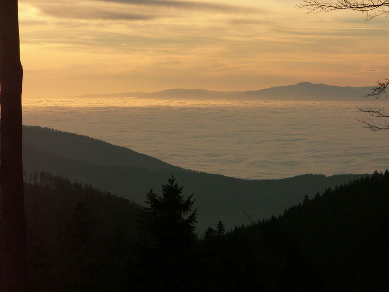 Nebelmeer im Schwarzwald