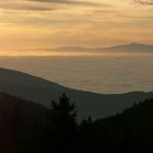 Nebelmeer im Schwarzwald