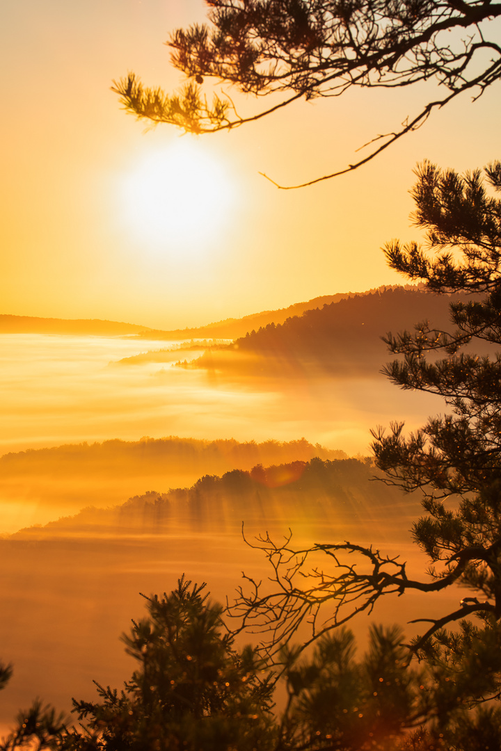 Nebelmeer im Sonnenlicht