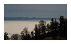 Nebelmeer im Tal