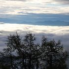 Nebelmeer im Vinschgau_06.08.2011