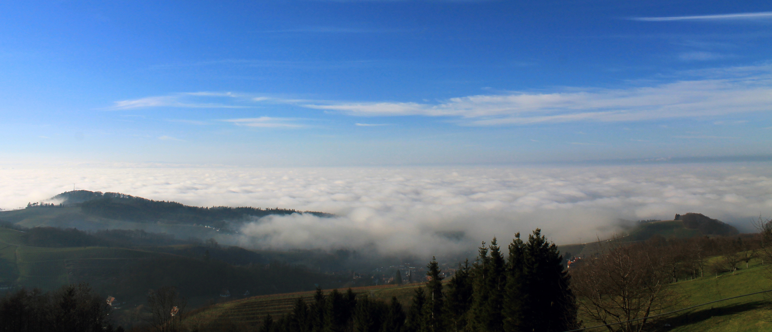 Nebelmeer in der Ortenau