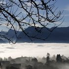 Nebelmeer in Sigriswil, Berner Oberland, Schweiz