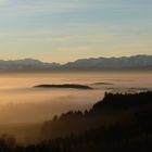 Nebelmeer lichtdurchflutet