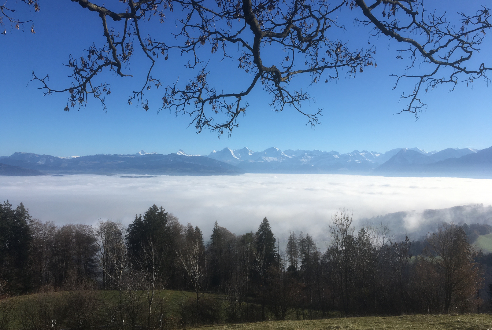 Nebelmeer mit Berner Alpen