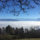 Nebelmeer mit Berner Alpen