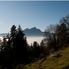 Nebelmeer mit dem Pilatus im Hintergrund